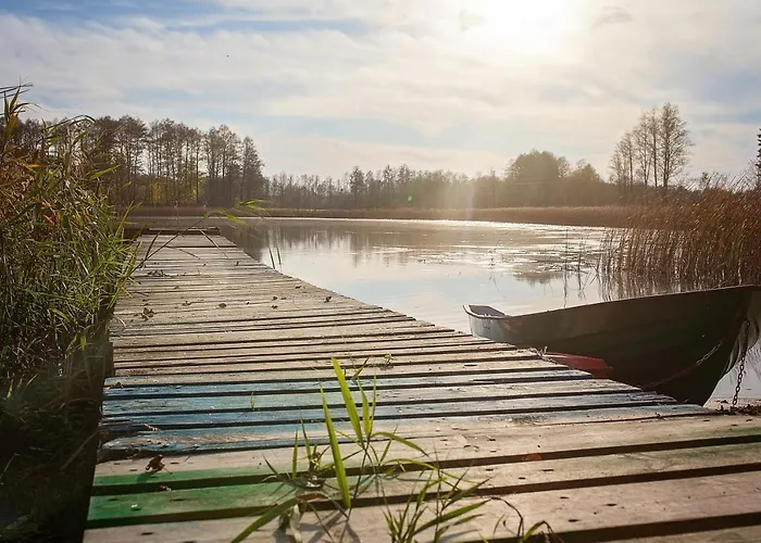 Maly Domek Zalesie